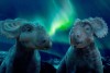 Pe urmele dinozaurilor 3D